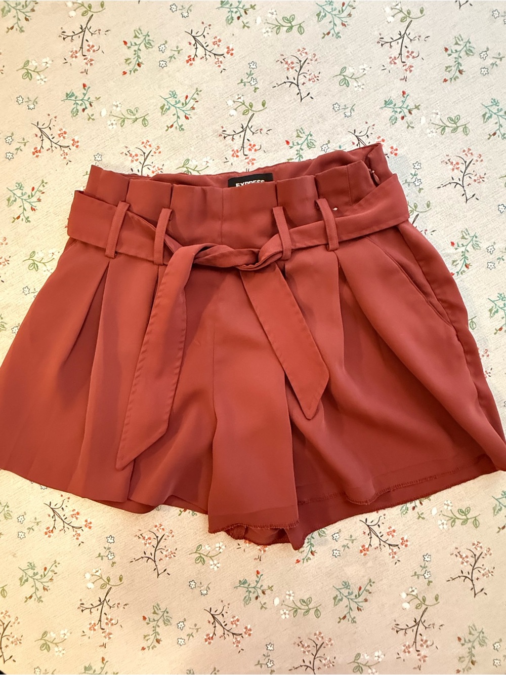 Express Rust Waist Tie-Front High-Rise Shorts
